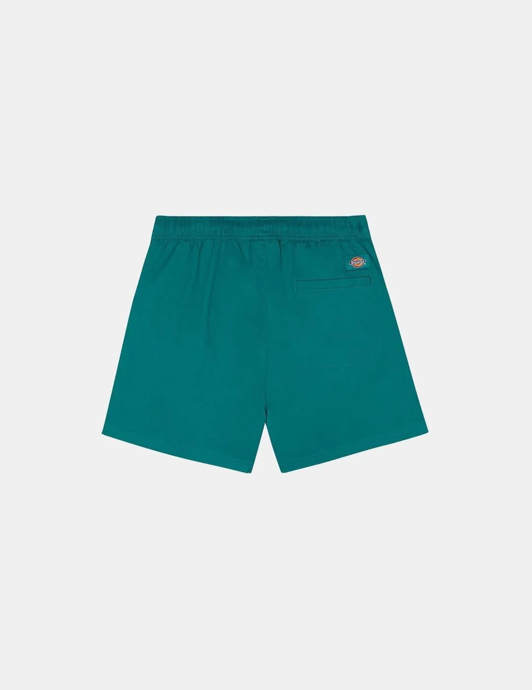 Shorts Dickies Vale Verde Deep Lake
